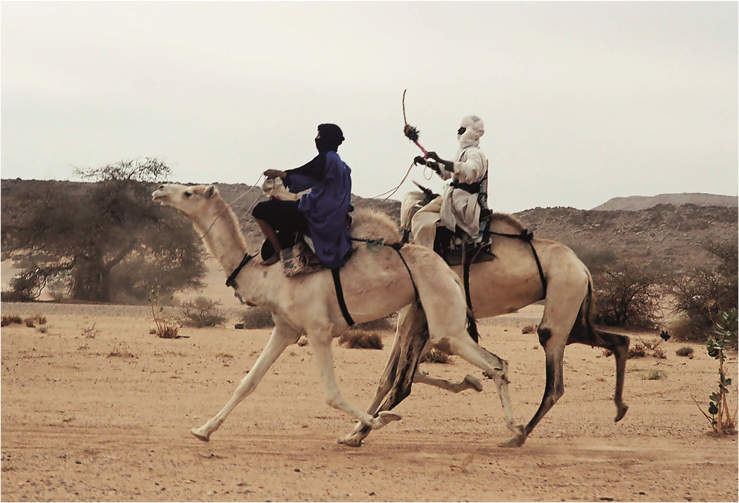 peuple du desert